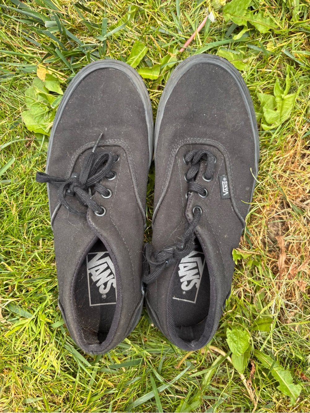 Vans Black Classic Shoe